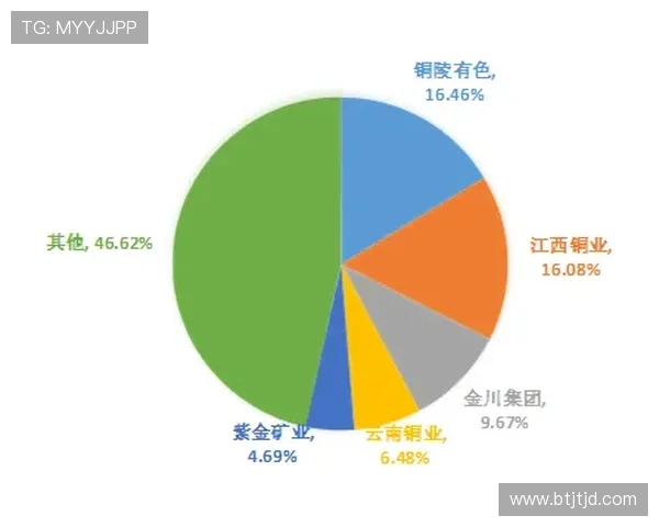 上海排球队在欧锦赛中的表现分析与状态评估