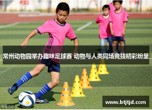 常州动物园举办趣味足球赛 动物与人类同场竞技精彩纷呈